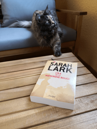 île de la mangrove rouge